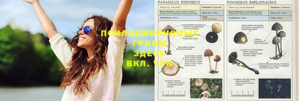 jwh Армянск