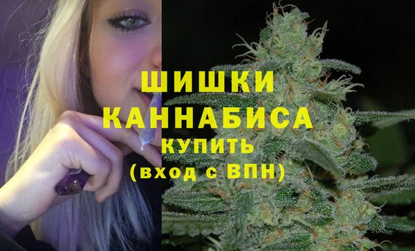 ПСИЛОЦИБИНОВЫЕ ГРИБЫ Арсеньев