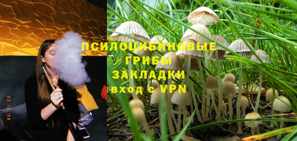 крисы Кодинск