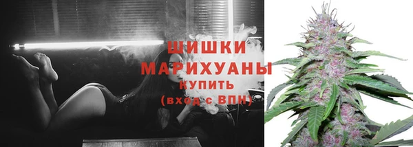 ПСИЛОЦИБИНОВЫЕ ГРИБЫ Арсеньев