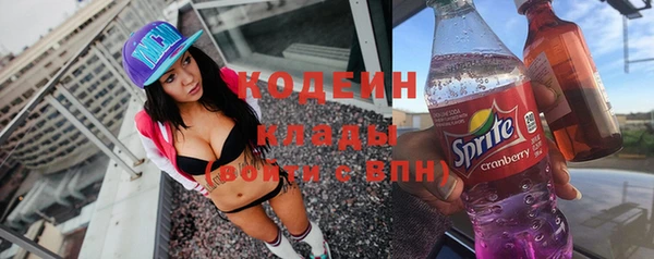 крисы Кодинск