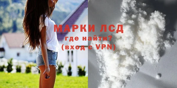 ПСИЛОЦИБИНОВЫЕ ГРИБЫ Арсеньев