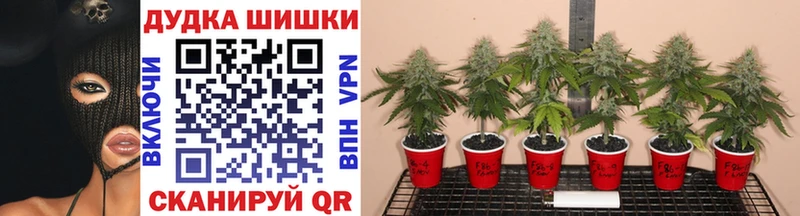Конопля THC 21% Болохово